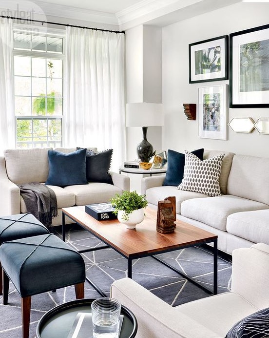      a-lively-living-room