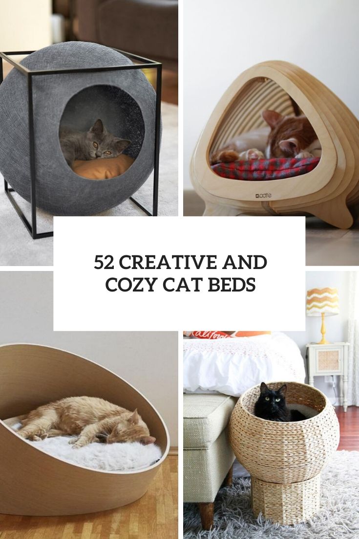 creative and cozy cat beds cover