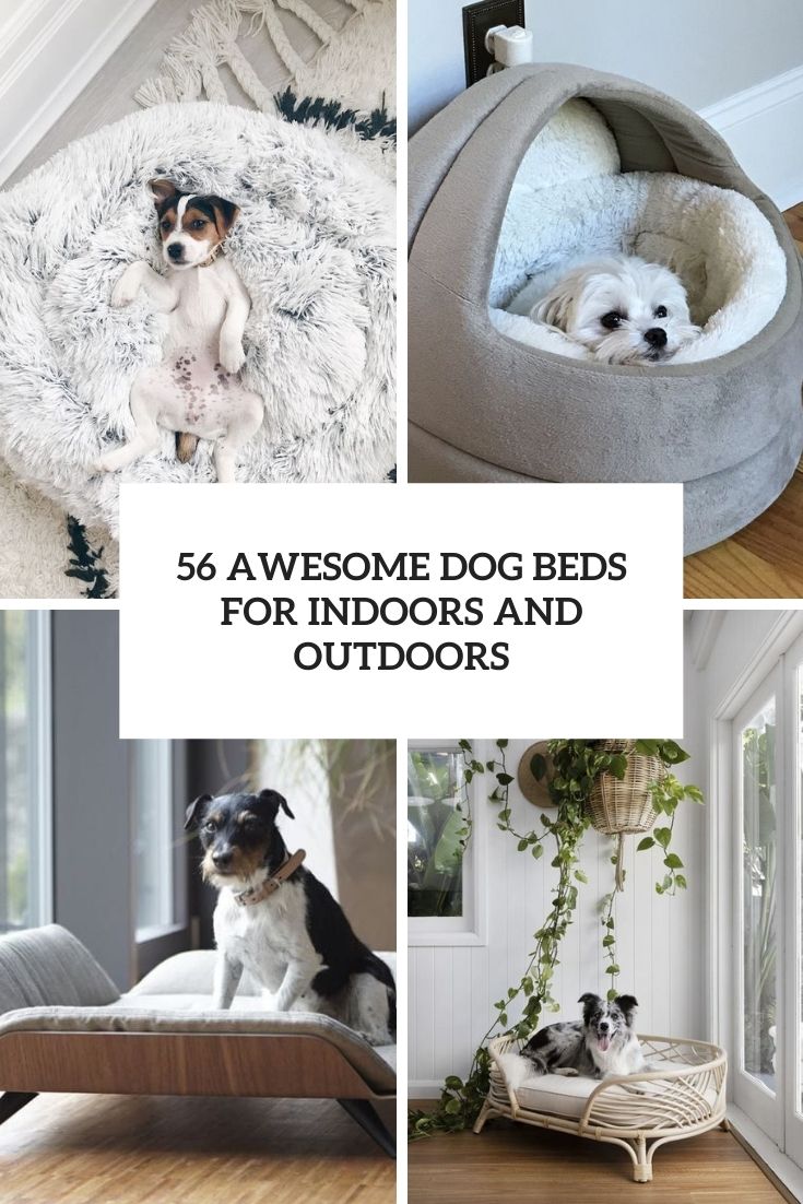 56 Awesome Dog Beds For Indoors And Outdoors - DigsDigs