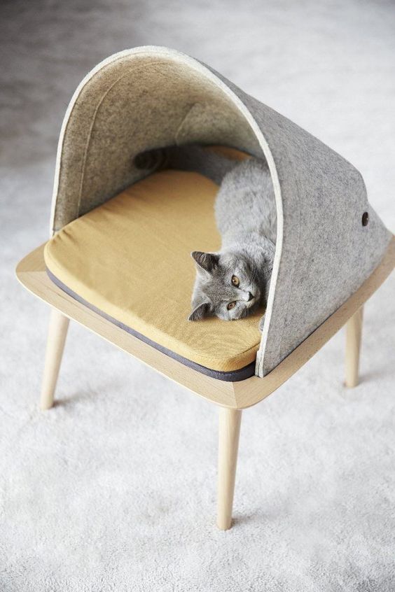 a cozy cat bed designed as a stool with a felt hood and a cushion is a very stylish piece for a cat to sleep in