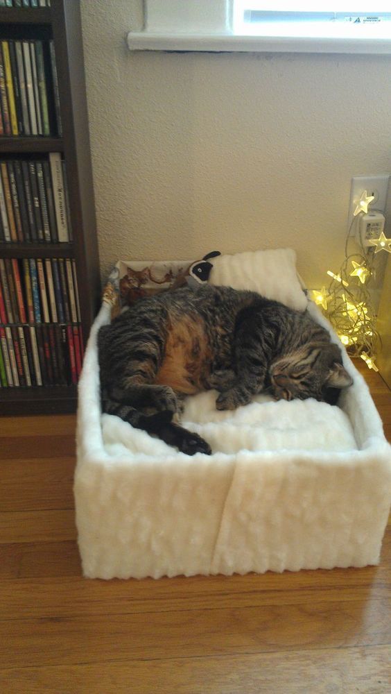 a cozy white plush cat bed with a pillow will make your furry friend super happy