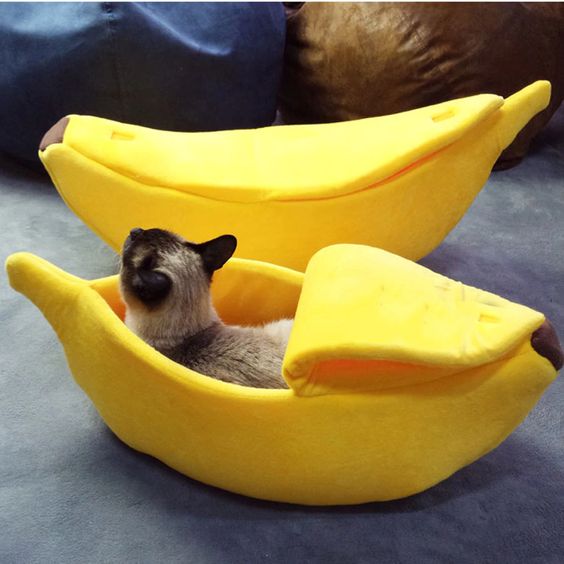 a fun and colorful banana cat bed with a lid is a creative idea with a touch of humor