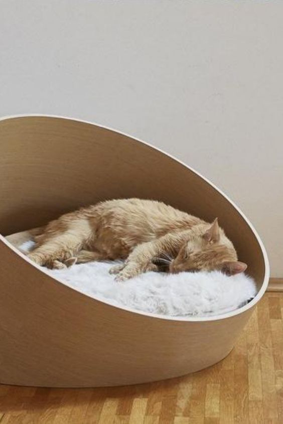 52 Creative And Cozy Cat Beds DigsDigs