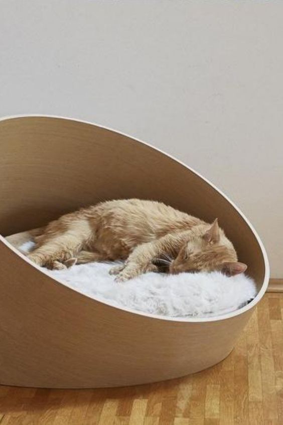 a sleek and stylish asymmetrical cat bed with faux fur is a chic idea for a contemporary or minimalist space