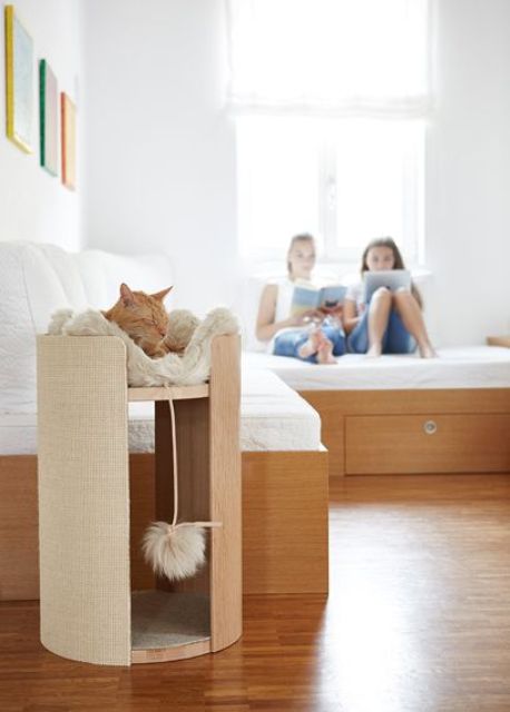 a stylish modern cat bed with a toy is a cool addition to a modern space that won't spoil the decor