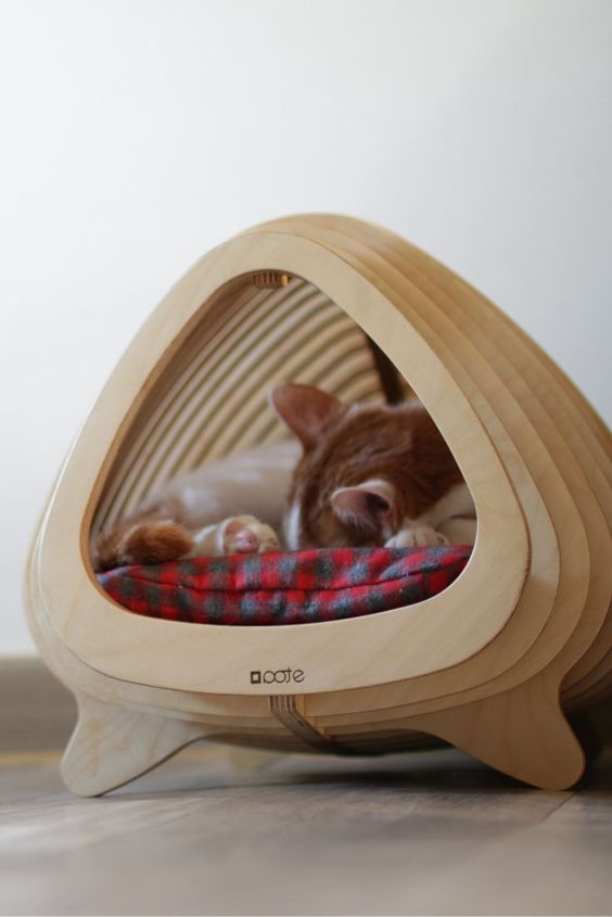 a stylish plywood fish-shaped cat bed with a cushion is a cool unit for a modern space