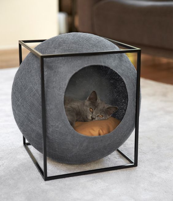a super stylish sphere cat bed in a cube will highlight your interior and make it wow