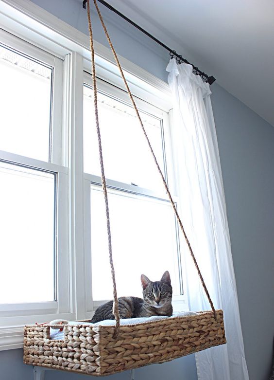a suspended woven cat bed by the window is a cool way to enjoy the views and natural light
