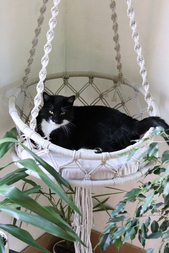 a white macrame suspended cat bed with a cushion and macrame will finish off a boho space