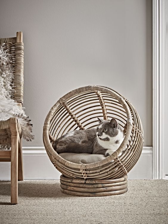 a wicker and rattan pod cat bed is a very stylish solution with a modern farmhouse feel