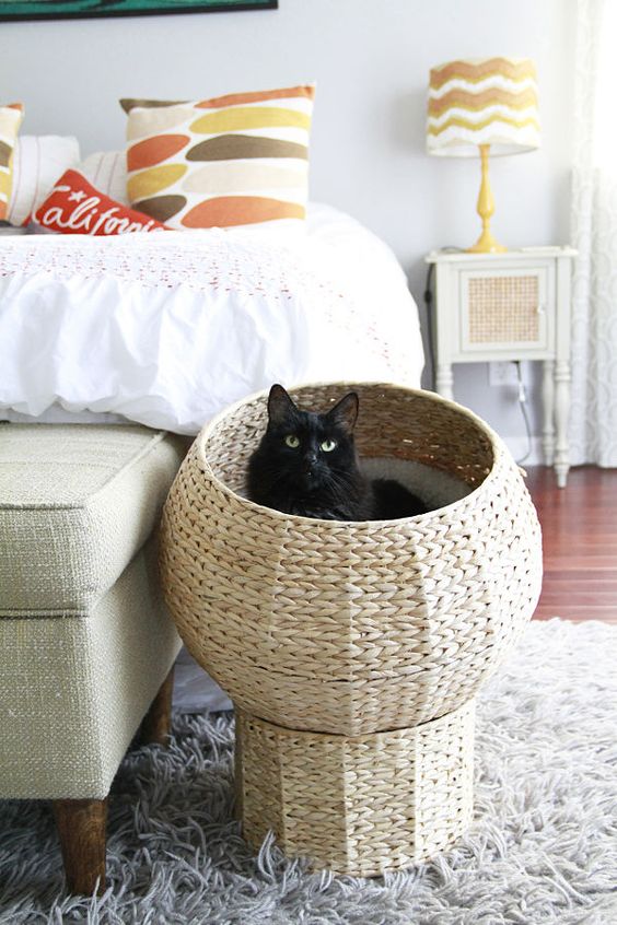 a woven raised cat bed styled as a pod is a stylish idea for a modern farmhouse home