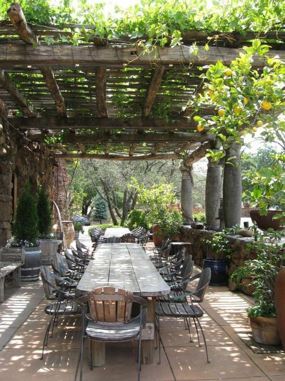 a Provence terrace with aged wooden and metal furniture, a roof covered with greenery and potted plants is a lovely space to have meals