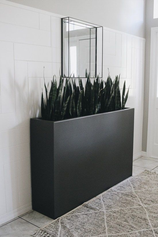 a modern tall, long and narrow black planter will accent any indoor or outdoor space at its best