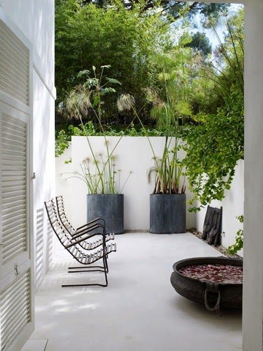a small minimalist terrace with potted plants and greenery around, a bowl with blooms and a couple of chairs looks ultimate