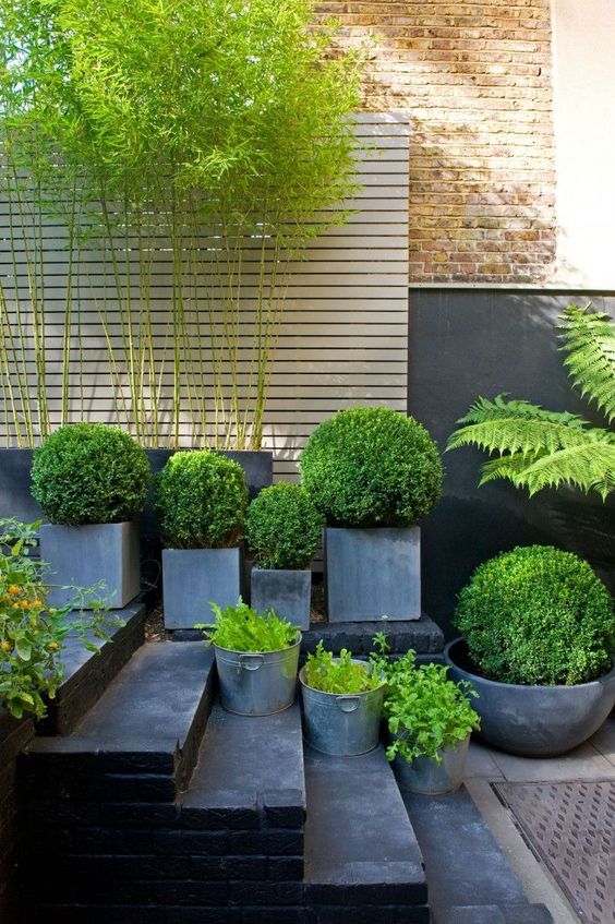 an arrangement of square and cup like concrete planters of various sizes and heights looks very edgy and modern