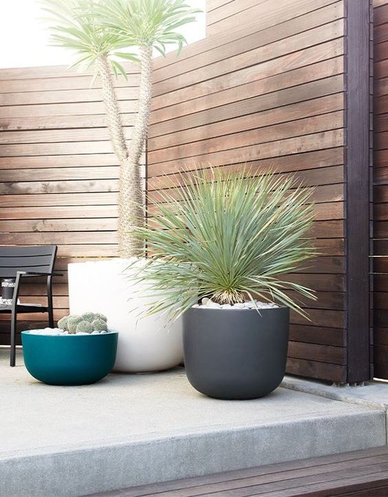 bowl-like white, grey and blue planters of different heights will make your outdoor space cooler