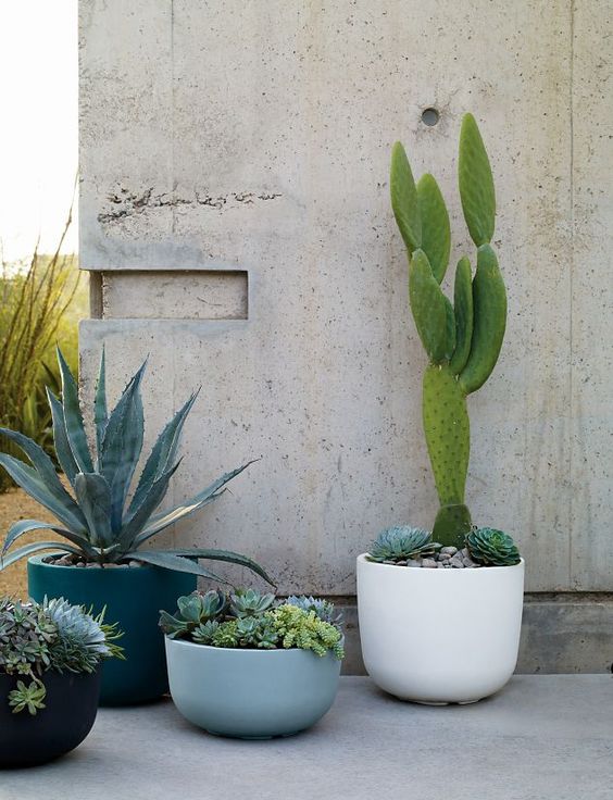cup-like planters of various colors and sizes compose a chic modern arrangement that you can rock