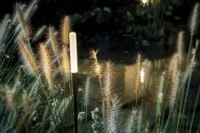 grasses with integrated outdoor lights that resemble them look very stylish and very chic
