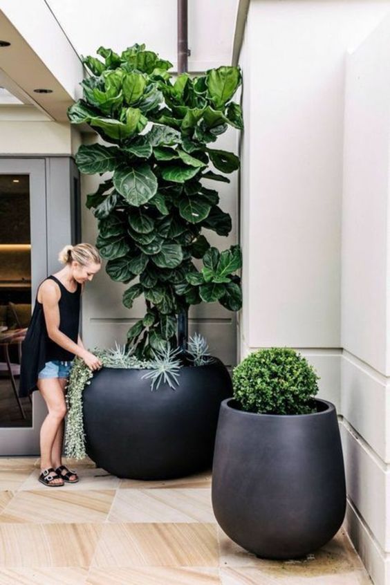 modern black oversized rounded planters will make your outdoor space look very cool and very edgy