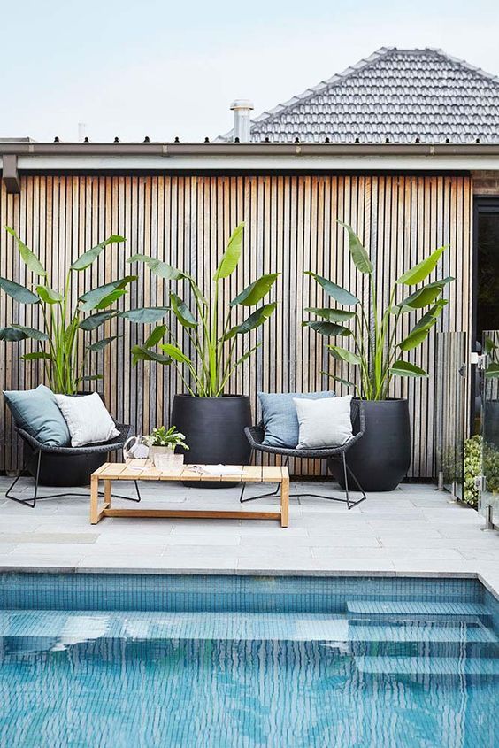 modern tall black planters with tropical plants are extra bold and chic and will give a modern feel to your space