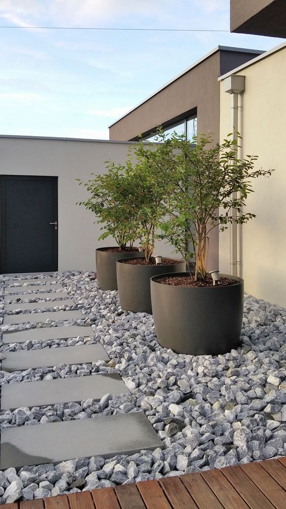 oversized black cup planters like these ones can accommodate a whole tree and give an edgy feel to the space