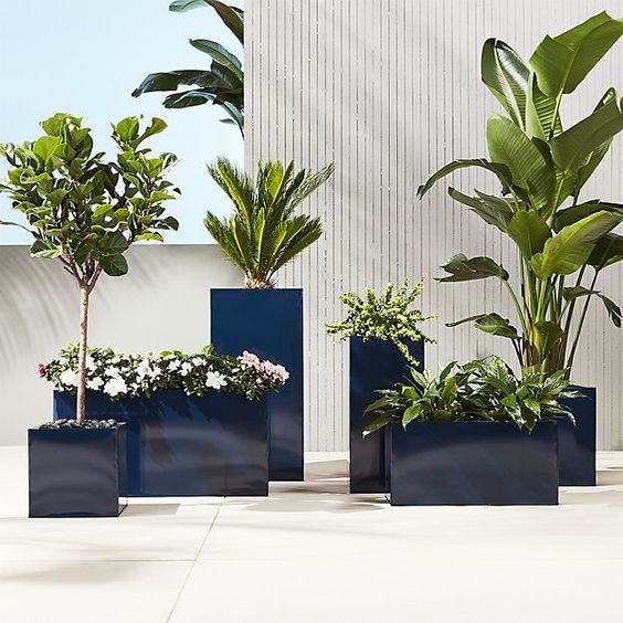 tall galvanized glossy navy planters of various sizes and heights with various plants and blooms look very stylish