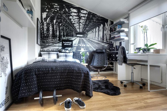 modern and stylish teen boys room designs