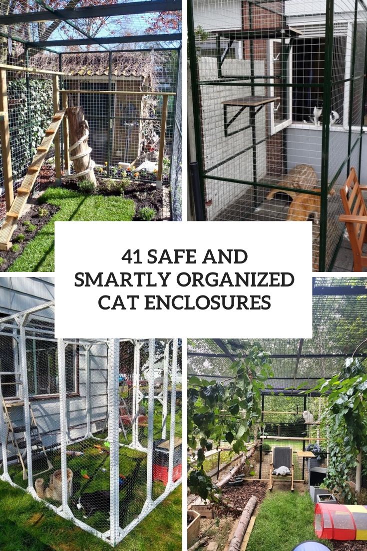 safe and smartly organized cat enclosures cover