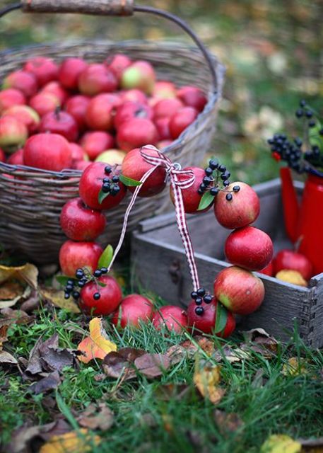 a natural and cute fall wreath of real apples and berries is a super cool idea that can be eaten one day