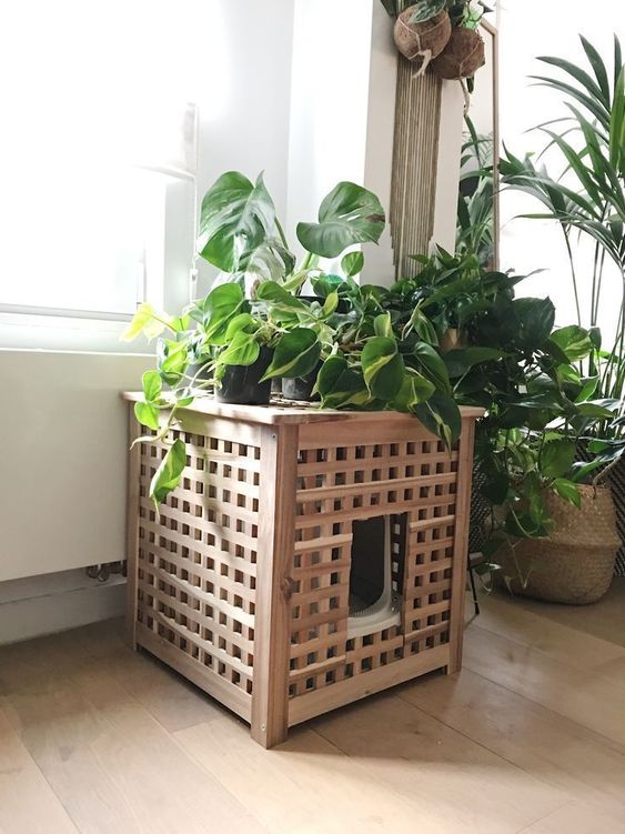 an IKEA Hol table used as a cat toilet and a plant stand at the same time - it's very comfy and easy to hack