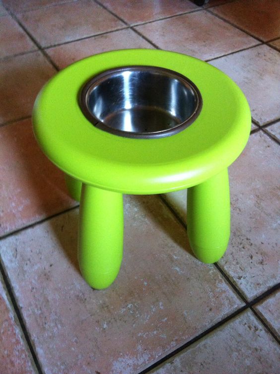 an IKEA Mammut stool repurporsed as a dog bowl stand is a cool and simple idea to add a bit more comfort to your pets' space