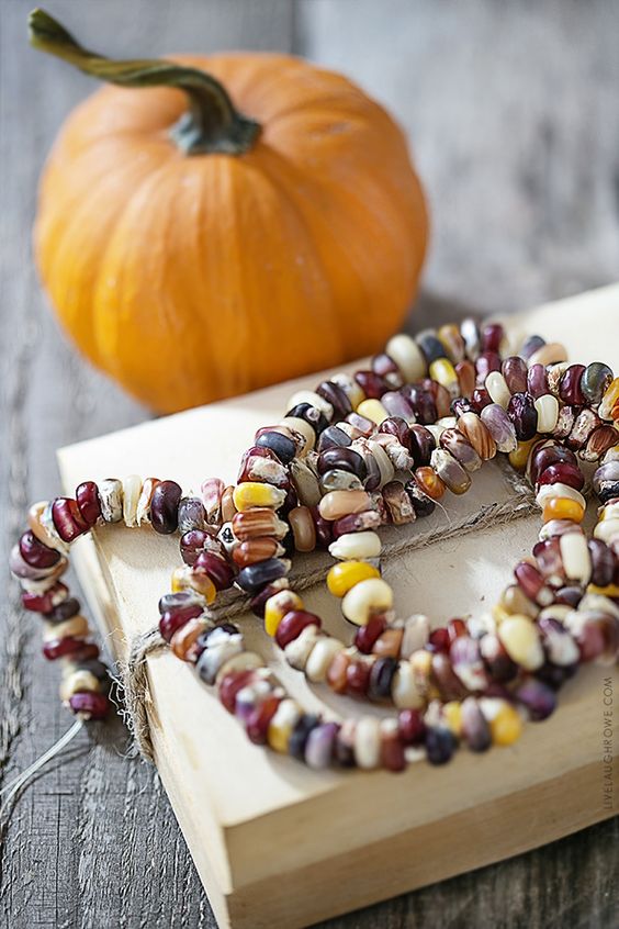 Lifestyle blogger, Kelly Rowe, has created this decorative Autumn Garland using Indian Corn Seeds.  This project is one you'll want to add to your fall to-do list.  Find out more at livelaughrowe.com