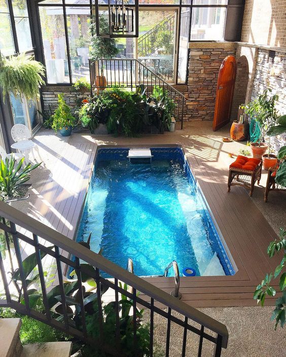 a cool sunroom with a plunge pool and a wooden deck, potted plants and lots of natural light coming through glass walls