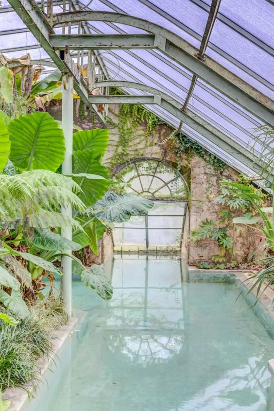 a vintage glass orangery turned into a pool house, with a small pool, lots of greenery, a glass roof and windows