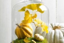 a chic fall cloche with moss, fake pumpkins and yellow leaves for a fall or a Thanksgiving mantel or table