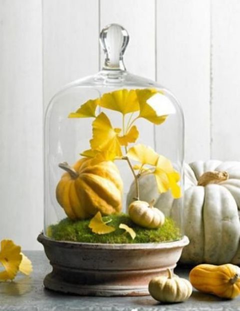 a chic fall cloche with moss, fake pumpkins and yellow leaves for a fall or a Thanksgiving mantel or table