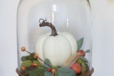 a cloche with a wooden base with moss, a faux pumpkin and berries and veggies plus foliage