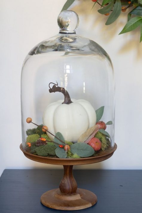 a cloche with a wooden base with moss, a faux pumpkin and berries and veggies plus foliage