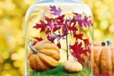 a cloche with moss, fake pumpkins and red fall leaves for a Thanksgiving centerpiece or just decoration