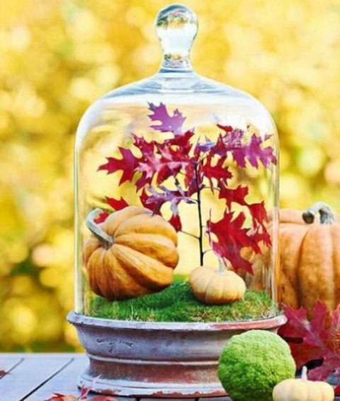 a cloche with moss, fake pumpkins and red fall leaves for a Thanksgiving centerpiece or just decoration