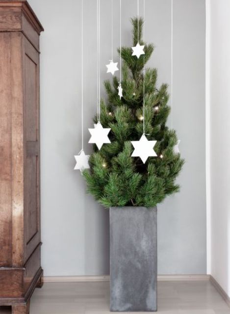 a minimalist Christmas tree in a tall concrete planter, with lights and white clay stars hanging over the tree is a lovely idea to rock