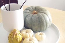 a modern Thanksgiving decoration with a white tray, a white vase with dried herbs and natural pumpkins and gourds