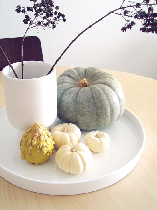 a modern Thanksgiving decoration with a white tray, a white vase with dried herbs and natural pumpkins and gourds