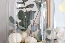 a modern cloche display with little faux white pumpkins and pale euclayptus is a very chic idea