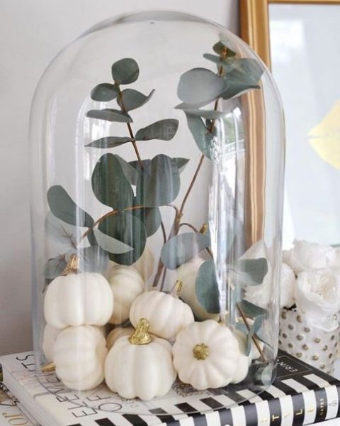a modern cloche display with little faux white pumpkins and pale euclayptus is a very chic idea