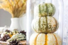 a rustic cloche display with moss and natural pumpkins is ideal for the fall