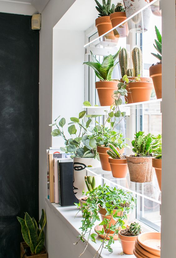 a floating herb garden on acrylic shelves is a nice idea to have enough light and privacy and delicious herbs at the same time
