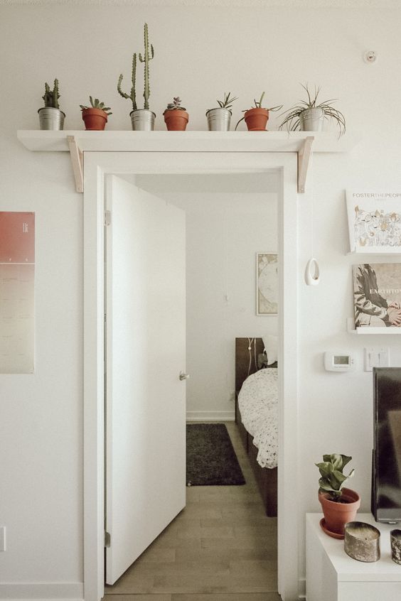 a simple open shelf attached over the doorway features potted plants and succulents is a very cool idea to rock