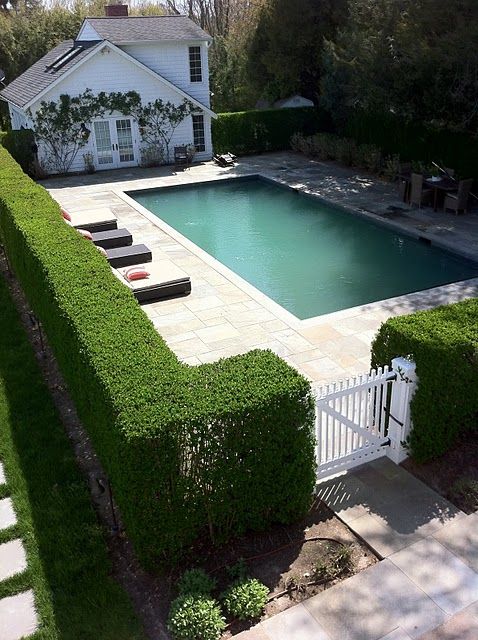 hedge pool fence  for natural privacy