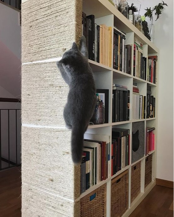 an IKEA Kallax shelf with a cat scratcher taking one side is a great idea to combine storage and cat fun at the same time